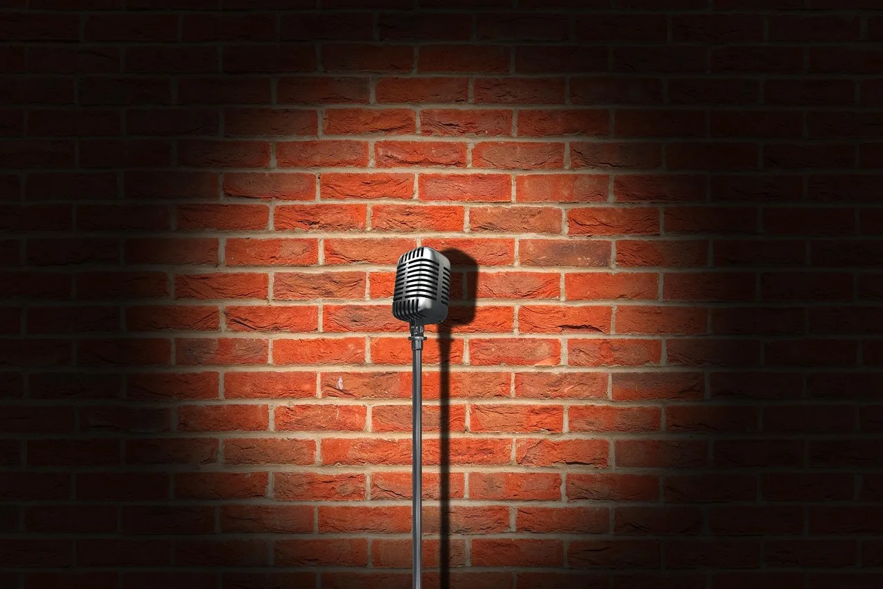 microphone, vintage, brick wall, retro, mic, stage, wall, shadow, light, entertainment, stand up, comedy, singer, comedian, comic, mic, comedy, comedy, comedy, comedy, comedy, comedian. Humorous quotes context: what to keep and what to drop
