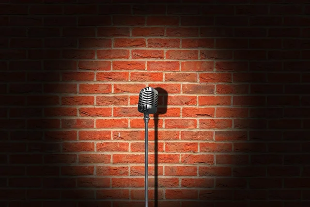 microphone, vintage, brick wall, retro, mic, stage, wall, shadow, light, entertainment, stand up, comedy, singer, comedian, comic, mic, comedy, comedy, comedy, comedy, comedy, comedian. Humorous quotes context: what to keep and what to drop