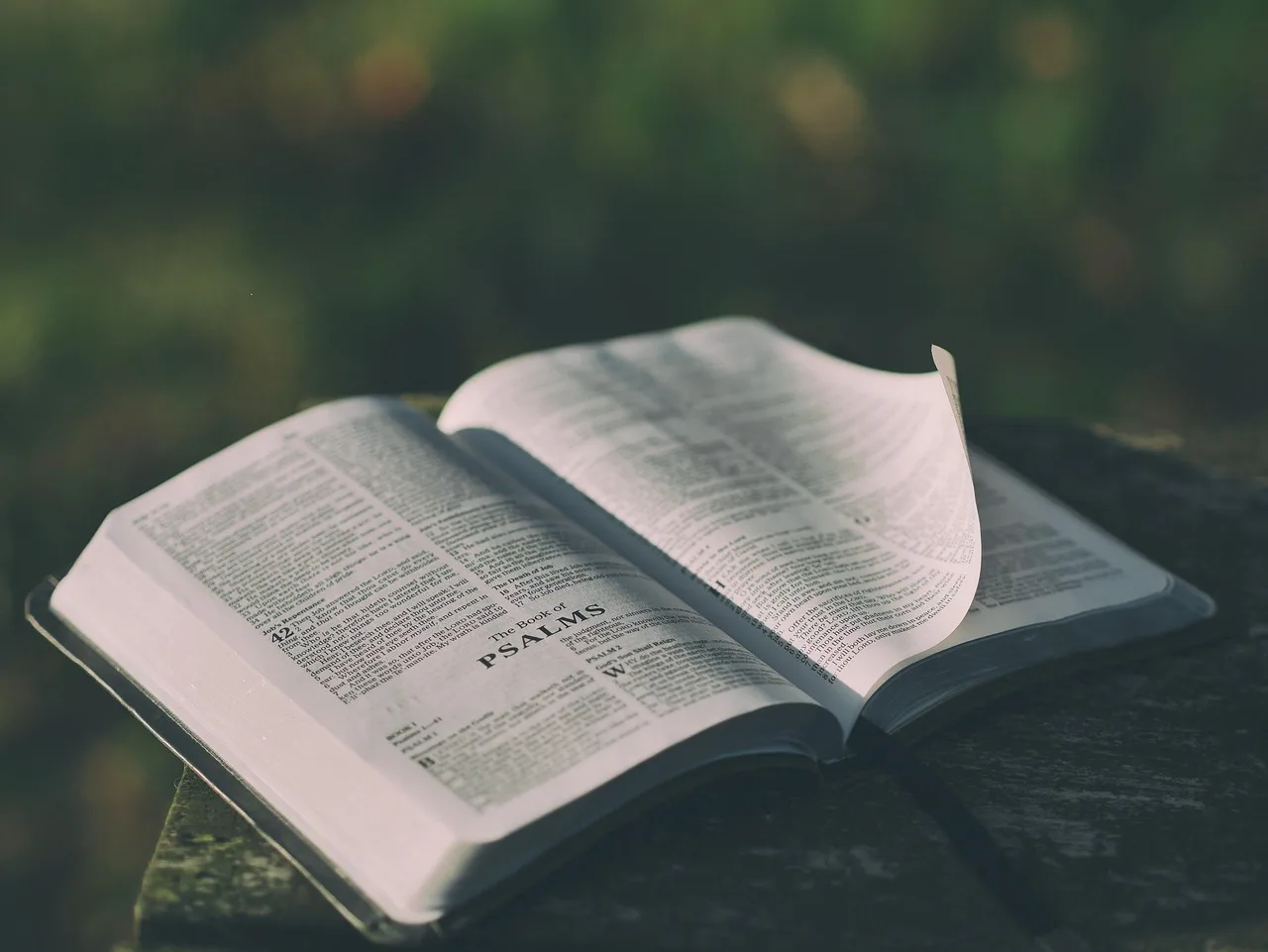 bible, open, book, pages, open bible, psalms, bible reading, faith, religion, prayer, bible verses, chapter, knowledge, literature, outdoors, text, verses, wisdom, bible, bible, bible, bible, bible. How a paragraph reverses a quote's meaning: six frames and the minimum unit