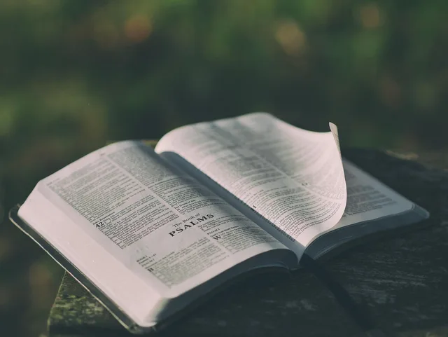 bible, open, book, pages, open bible, psalms, bible reading, faith, religion, prayer, bible verses, chapter, knowledge, literature, outdoors, text, verses, wisdom, bible, bible, bible, bible, bible. How a paragraph reverses a quote's meaning: six frames and the minimum unit