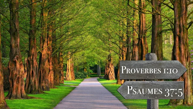 quote, bible, book, god, scriptures, reading, passage, biblical, quote, quote, bible, bible, bible, biblical, biblical, biblical, biblical, biblical. Leadership quotes misquotes: how they work