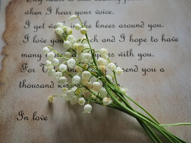 letter, flowers, lily of the valley, romance, handwriting, flower background, love, happiness, tender, paper, poetry, nature, friend, valentine's day, heart, dedicated to love, flower wallpaper, tenderness, letters, writing, calligraphy, beautiful flowers, label. The short version of love quotes context