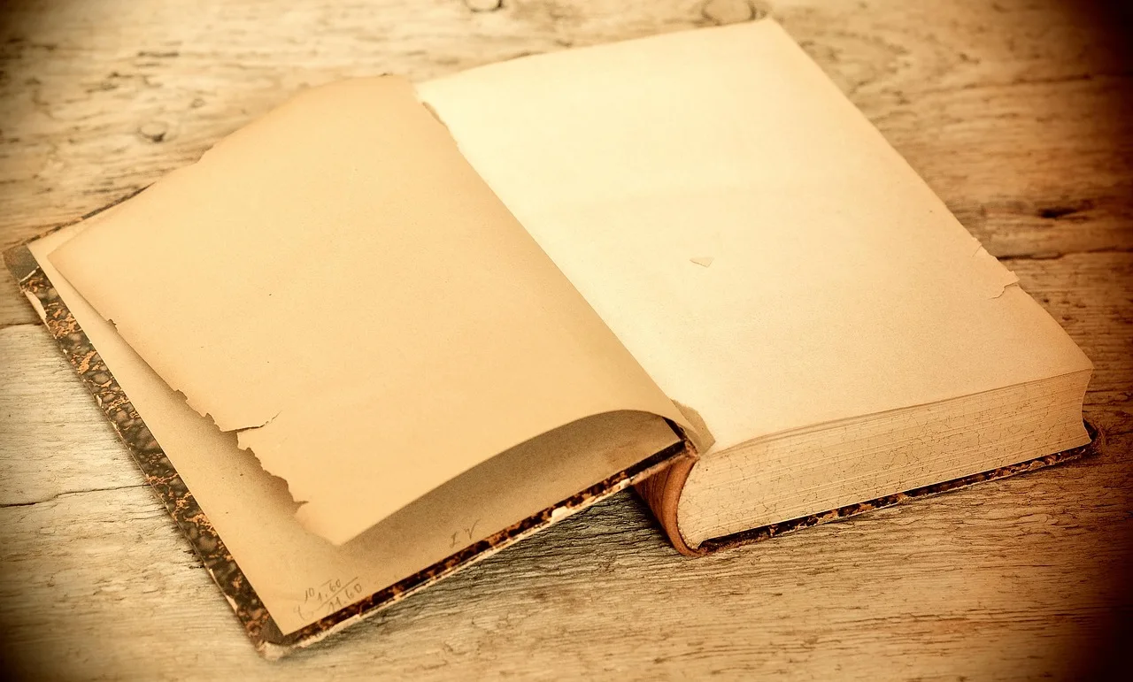 a book, old, antique, wooden table, empty pages, book pages, freedom of text, retro look, vintage, a book, antique, wooden table, wooden table, wooden table, wooden table, empty pages, book pages, book pages, book pages, book pages, book pages, vintage, vintage, vintage. Building a plan for quote context and sources misquotes: citing it properly
