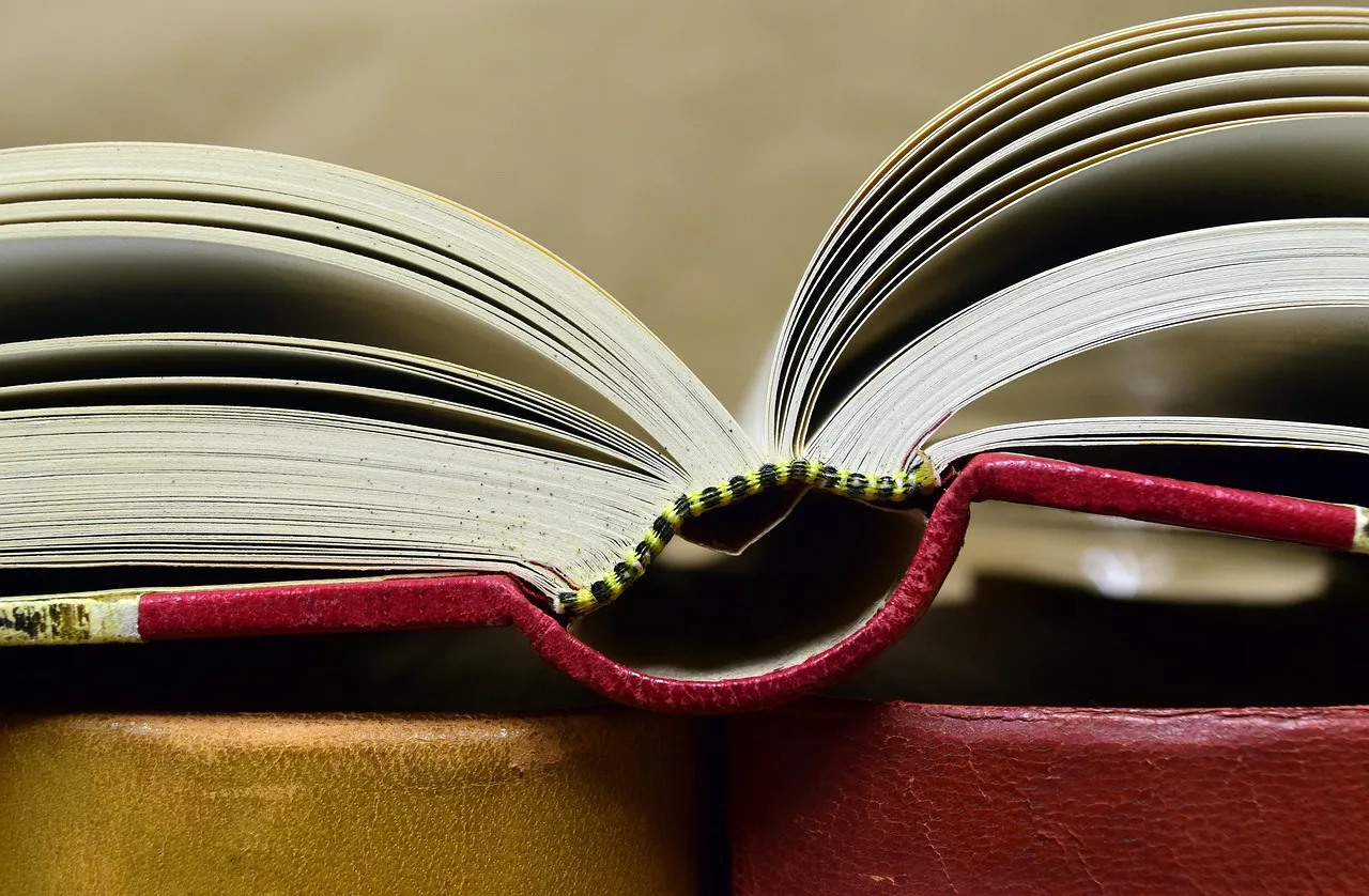 a book, antiquariat, old books, used books, old, literature, worn, second hand, brown, leather bindings, antique, read, nostalgic, browse, to learn, look up, knowledge, pitched, to study, pages, paper, bound, hardback, book pages. 6 points on quotes by era misquotes that matter