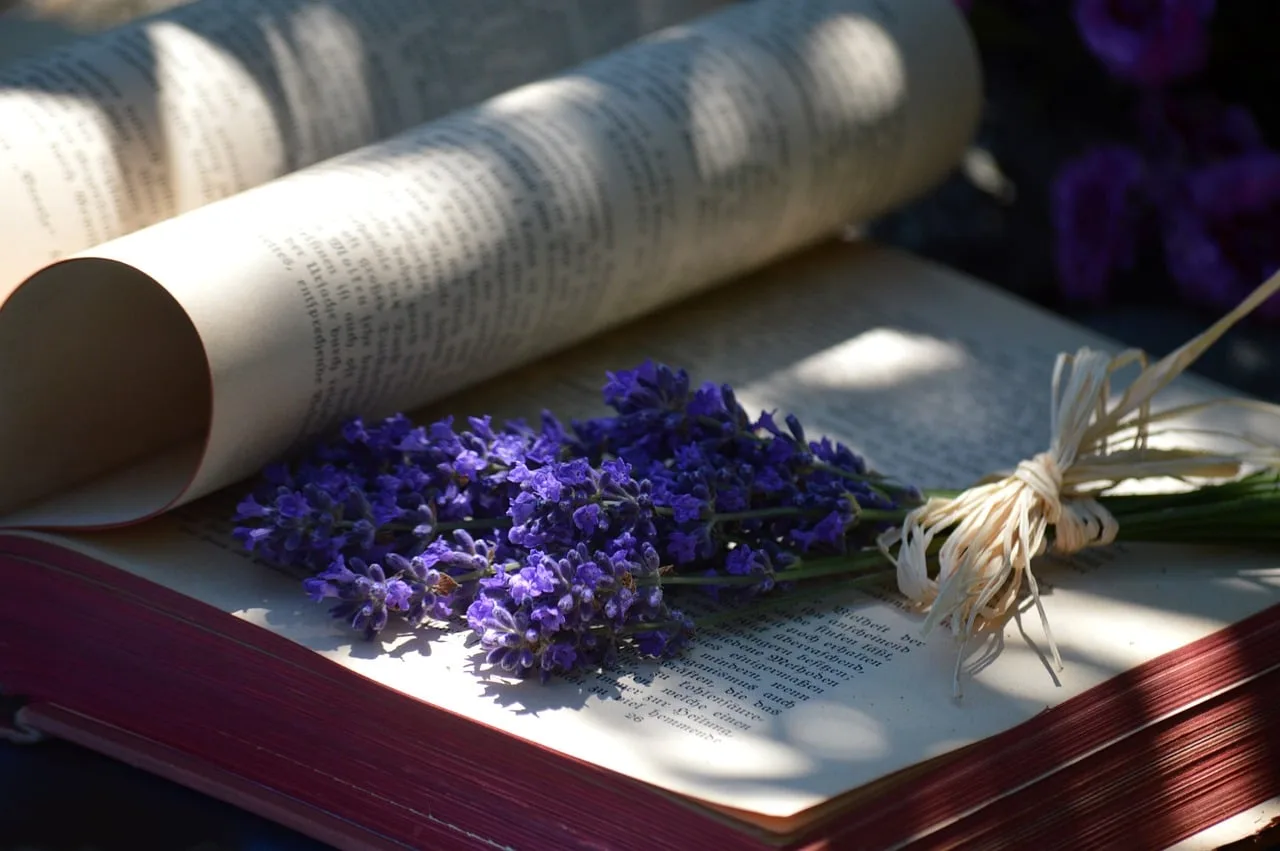 book, lavender, book pages, flowers, light and shadow, reading, beautiful flowers, education, literature, patterns, relaxation, creative design, paper, shadow, decoration, fresh, bookbinding, flower wallpaper, flower background, printed text, shading, nature, rest. Quotes by Profession Context: How to Read Tributes